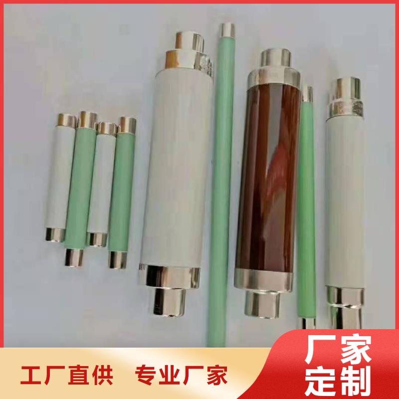 保护电压互感器用高压限流熔断器XRNP1-12/2A