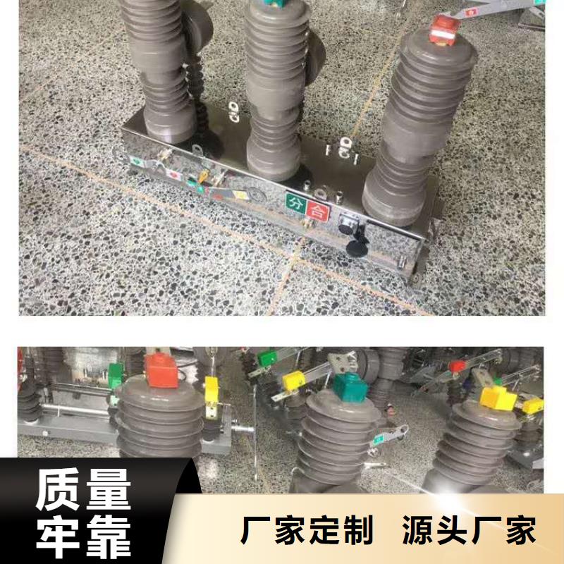 真空断路器高压限流熔断器厂家直销省心省钱