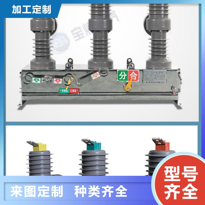 户外高压真空断路器ZW32-24G/630