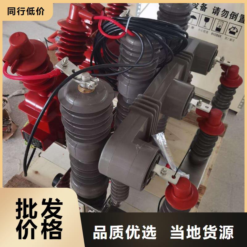 高压真空断路器跌落式熔断器RW12规格齐全