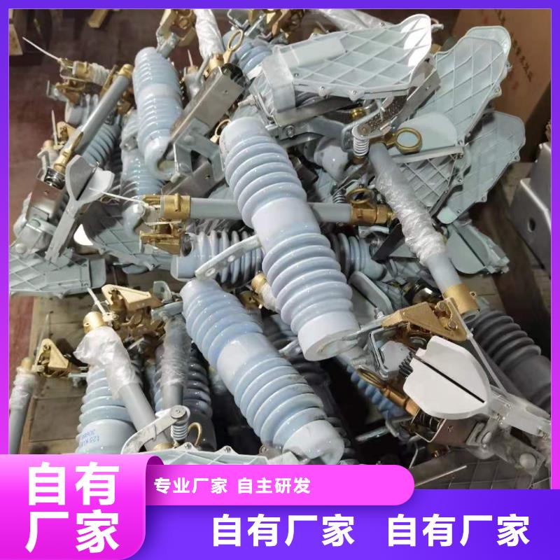 【跌落式熔断器】XRNP-10KV高压限流熔断器拒绝差价