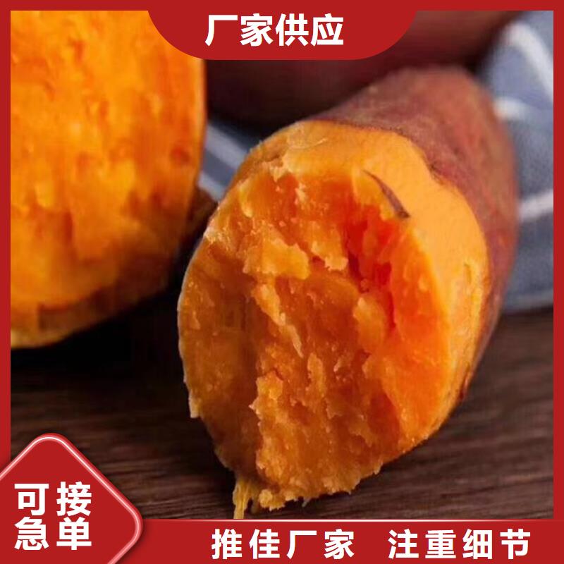 红薯苗（西瓜红）能吃吗