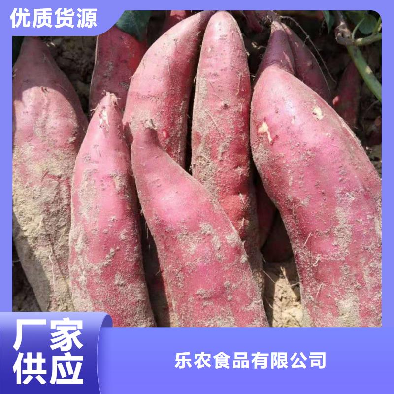 【紫薯苗】_红薯粉源头厂家直销乐农羽衣甘蓝粉