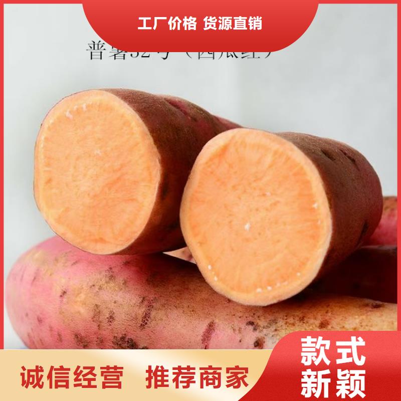 胡萝卜粉视频-胡萝卜粉|湖南省永州市|祁阳|双牌|娄底|常德|湘西|株洲|益阳