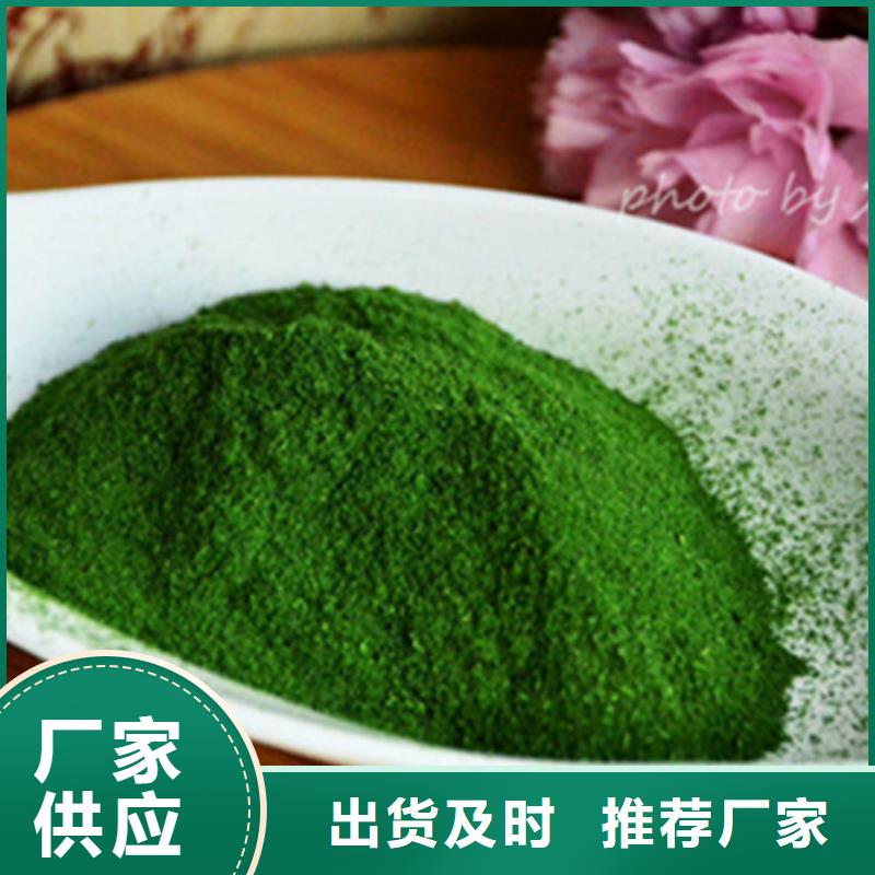 菠菜粉询问报价