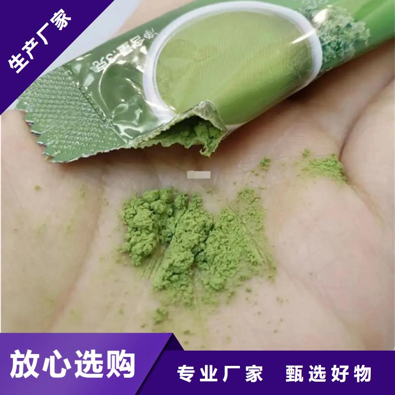 羽衣甘藍粉末-羽衣甘藍粉末廠家現貨