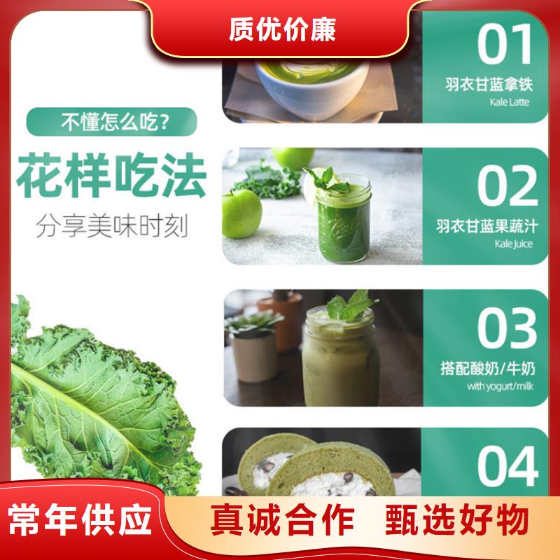 甘藍(lán)粉_讓您放心的選擇