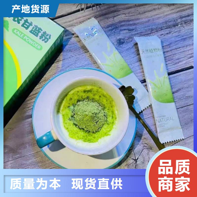 羽衣甘藍粉款式齊全