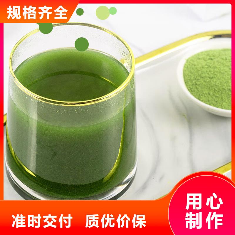 甘蓝粉欢迎来厂考察