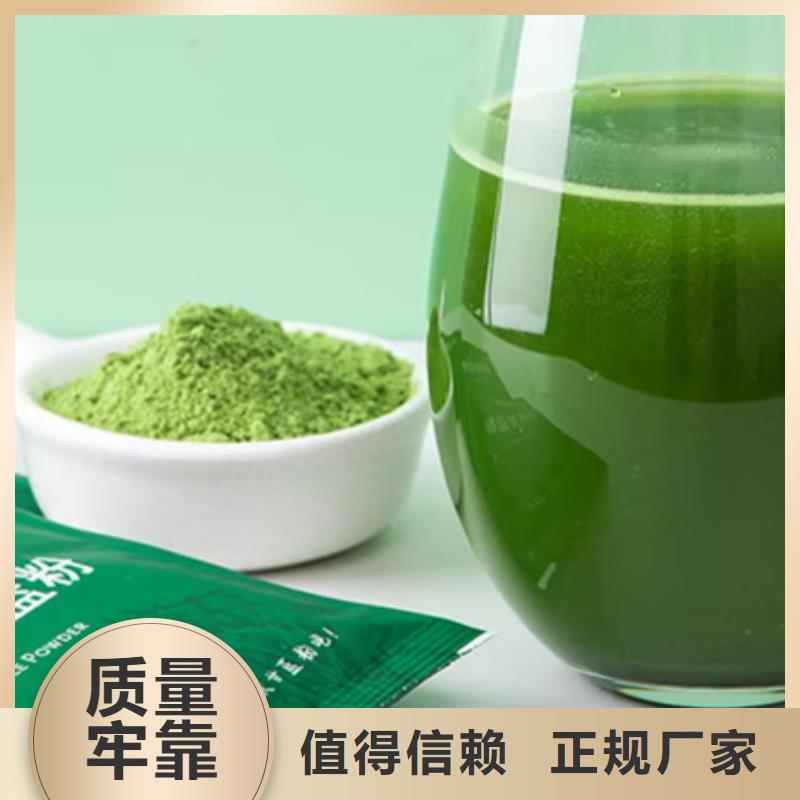 羽衣甘藍粉末-羽衣甘藍粉末廠家現貨