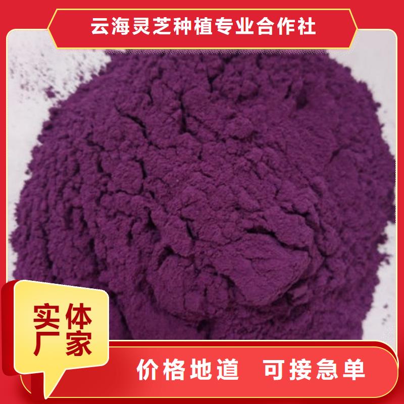 紫薯粉灵芝菌种规格齐全