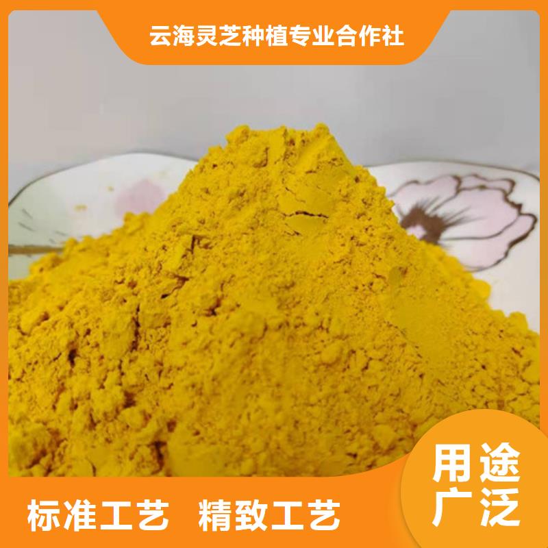 云海灵芝切片【南瓜粉】灵芝破壁孢子粉专业品质企业旺旺