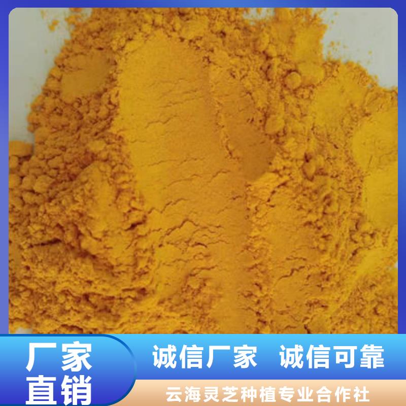 南瓜生粉電話