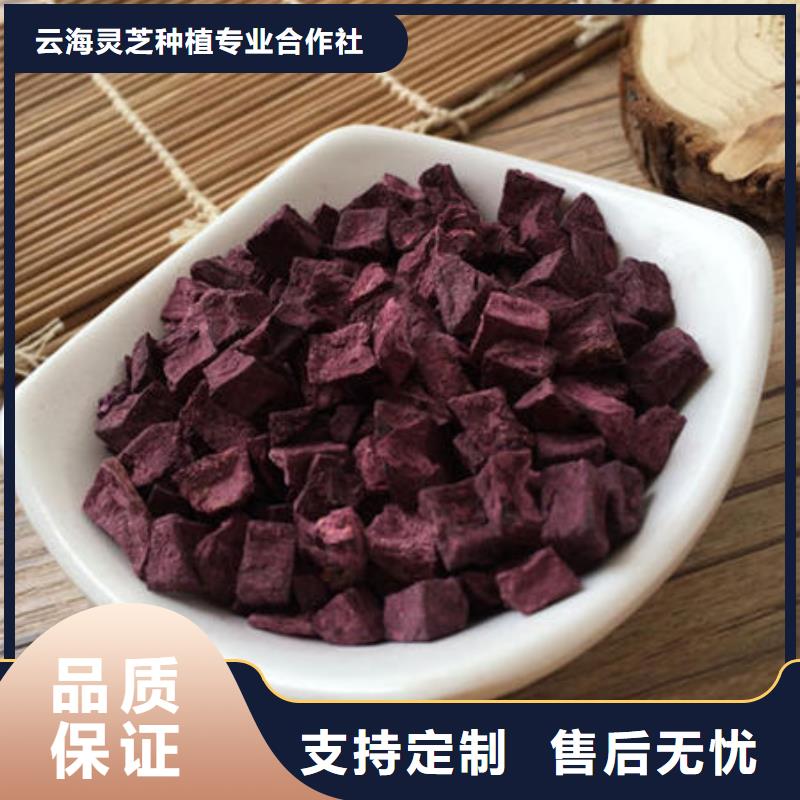 紫薯丁灵芝盆景厂家直营