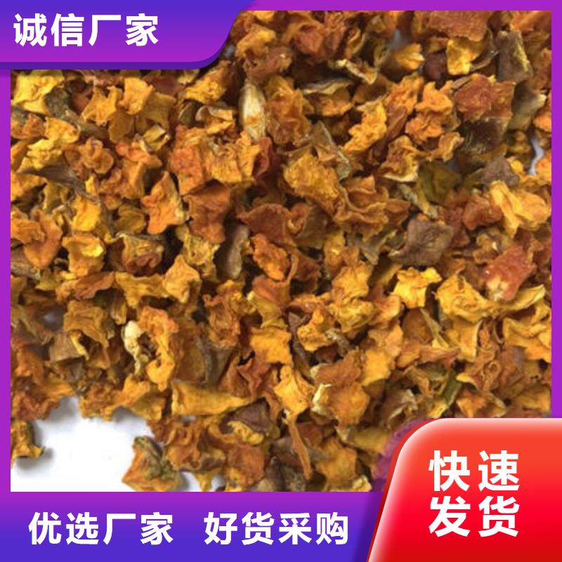 南瓜丁灵芝菌种好产品价格低