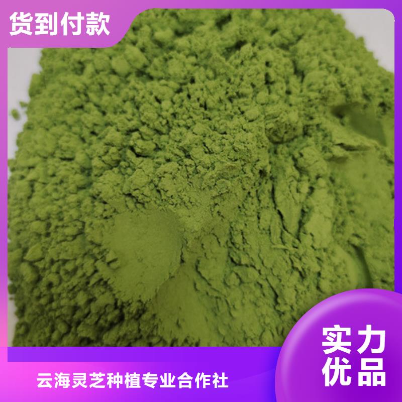 菠菜粉【灵芝孢子粉】高品质现货销售多年厂家可靠