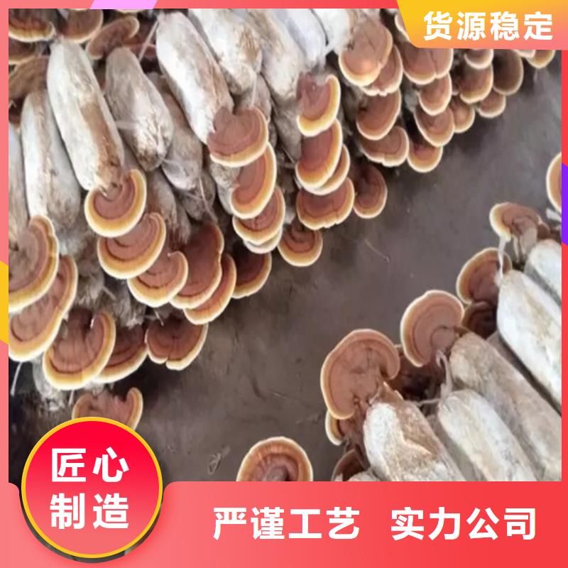 东方市灵芝孢子粉怎么吃好吃