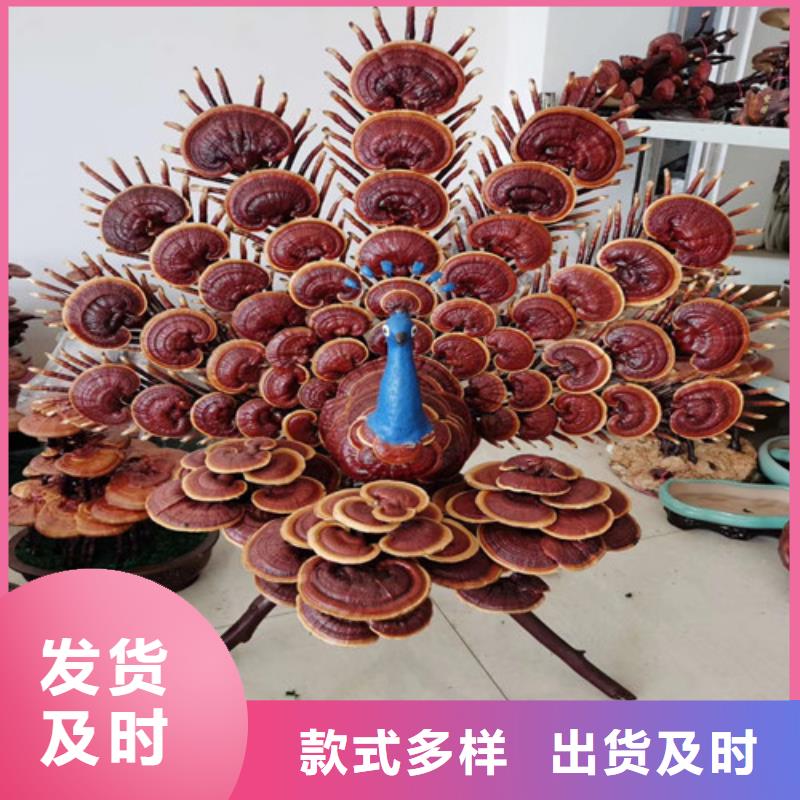 批发灵芝超细粉_品牌厂家