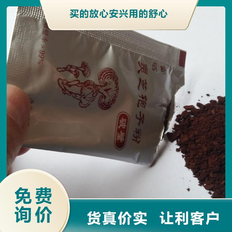 射阳灵芝切片厂家价格