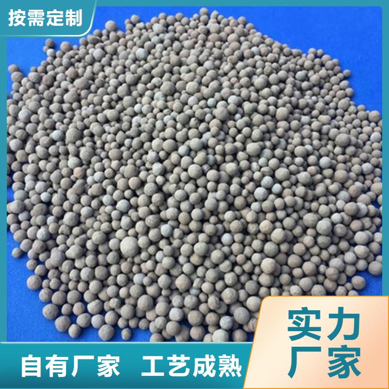 生物陶粒濾料微生物掛膜快
