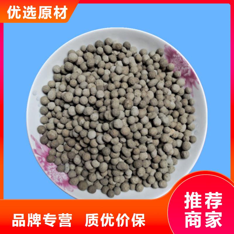 生物陶粒濾料微生物掛膜快