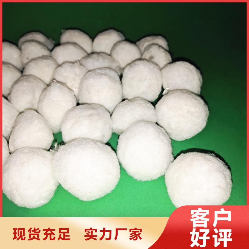 纤维球【硫酸铝】多年行业经验