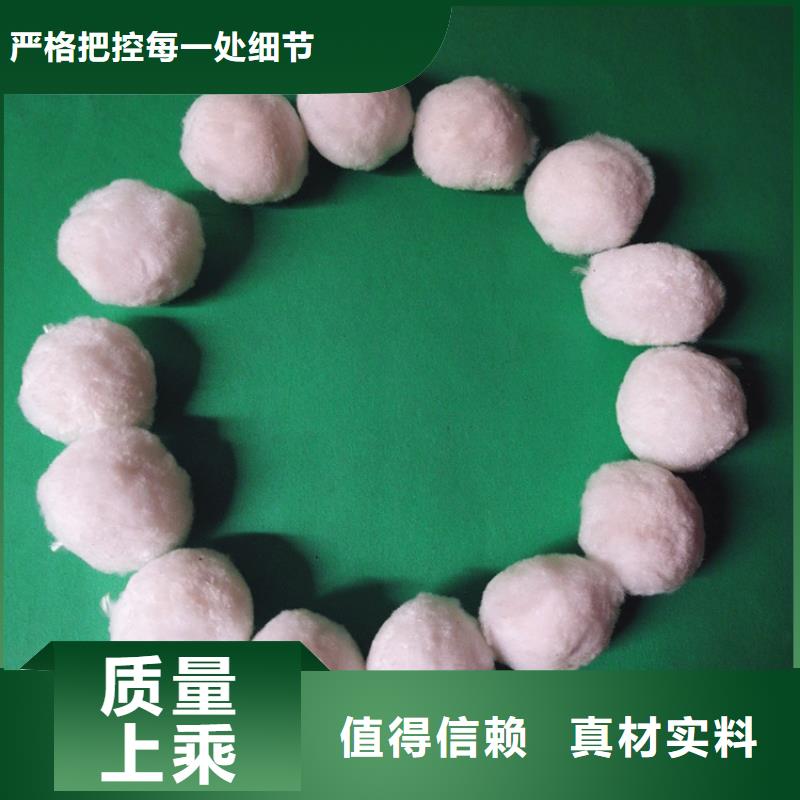纤维球【三氯化铁】用心服务