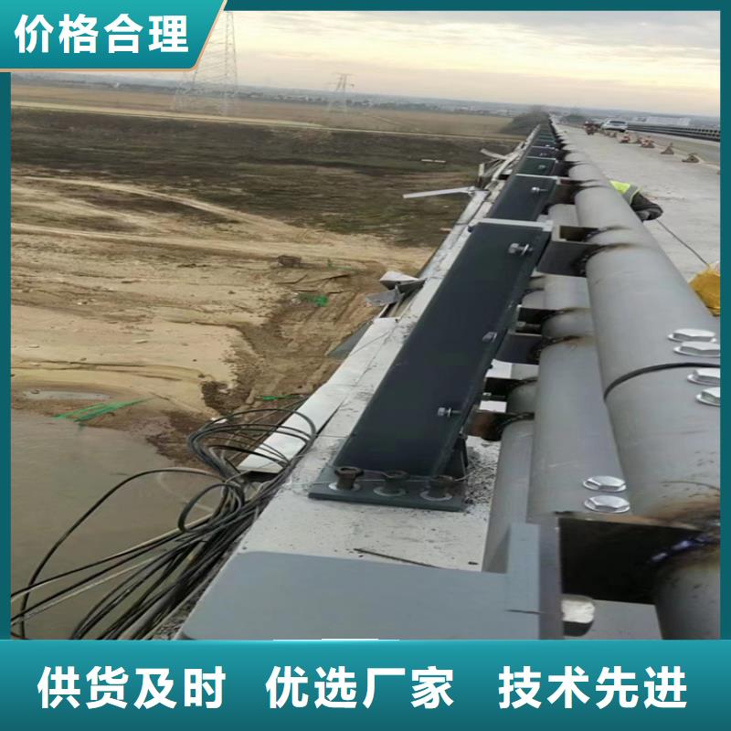 安徽安庆购买Q345碳钢喷塑桥梁护栏规格齐全按客户要求定制