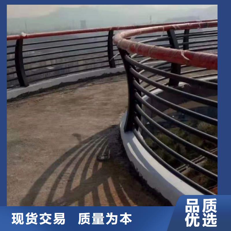 天津选购热镀锌喷塑景观河道栏杆打造经典款式