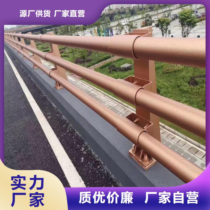 广东广州当地展鸿椭圆管河道桥梁护栏表面光滑坚固防撞