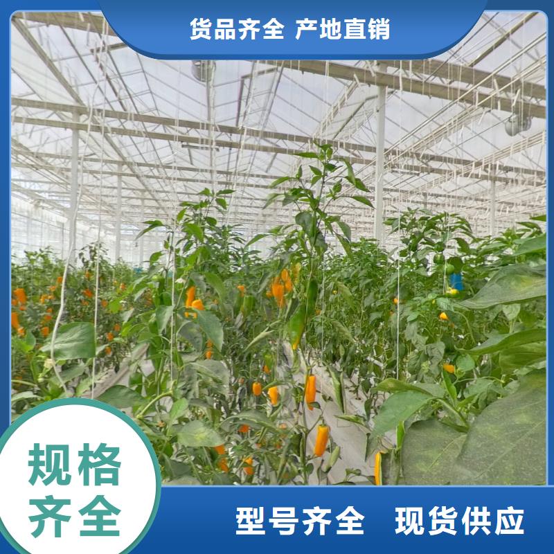 包河区蔬菜用大棚骨架源头厂家