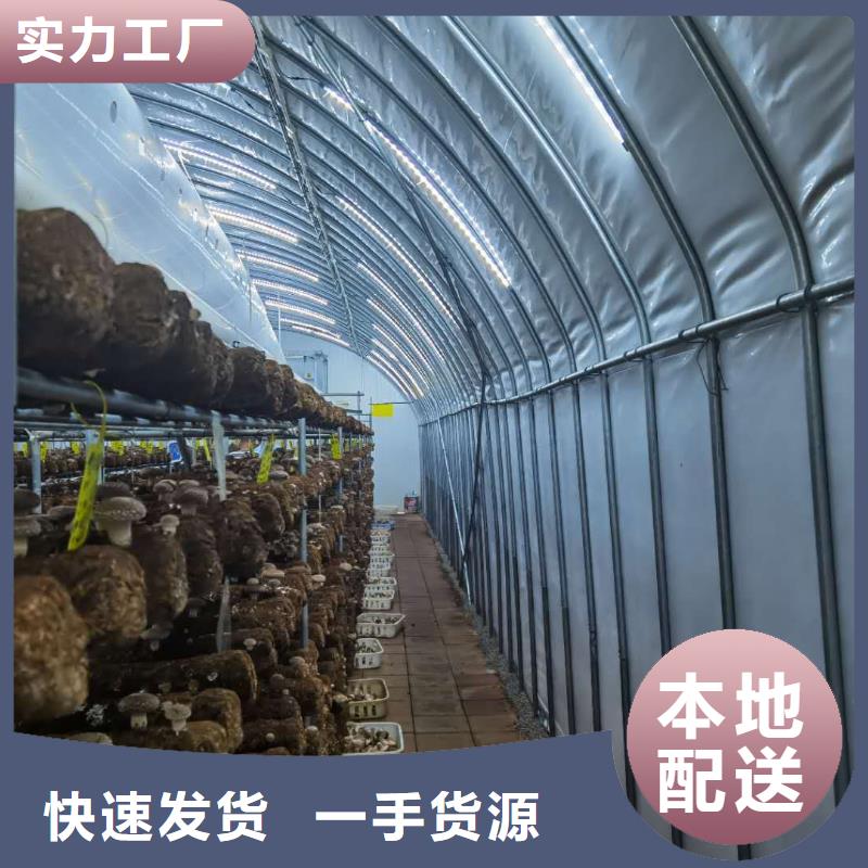澄迈县高品质大棚骨架实体大厂2024