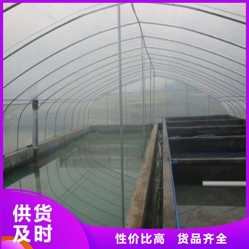 广东省中山市坦洲镇大跨度大棚钢管厂家直供2024