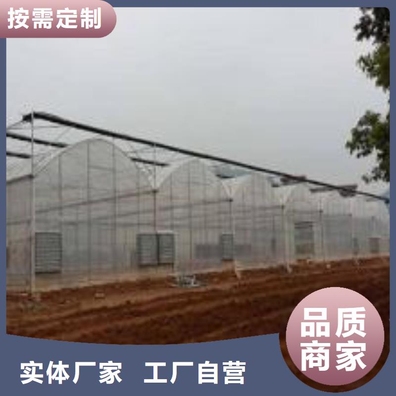 台湾同城温室大棚热镀锌钢管解决方案