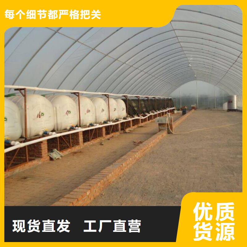 古蔺县黄瓜大棚钢管使用寿命长等优点。