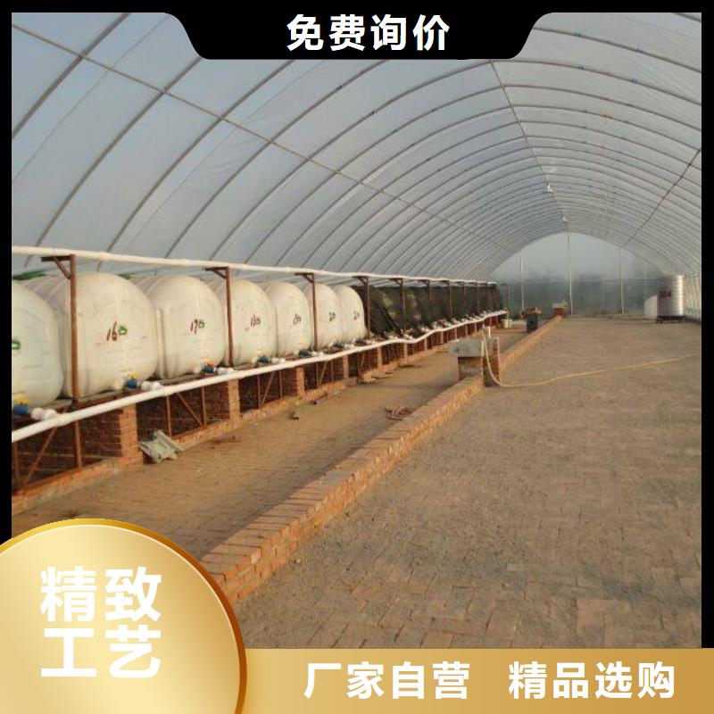 龙川县大棚管生产厂家食用菌大棚卡簧