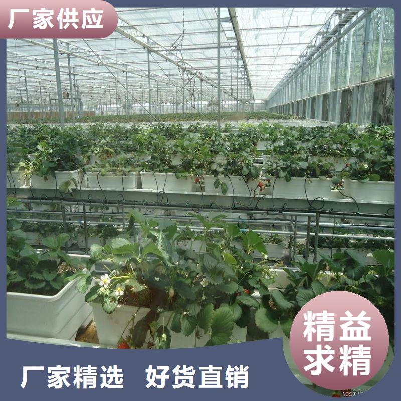 莲花连栋大棚的优缺点厂家2024