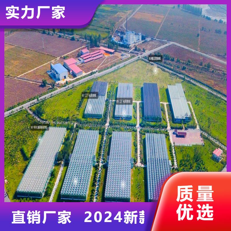 古县无锡连栋大棚价格行情2024