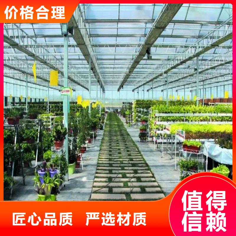 连栋大棚种植择优推荐2024