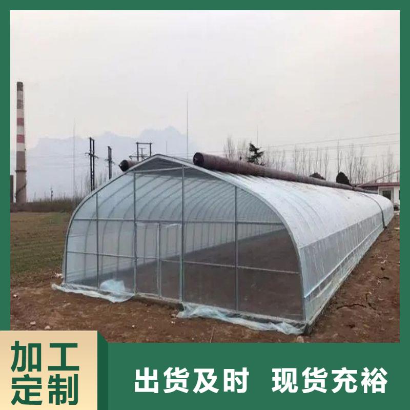 香洲区连栋大棚骨架管下单