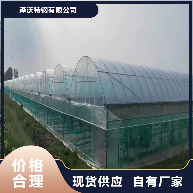 连栋大棚种植择优推荐2024