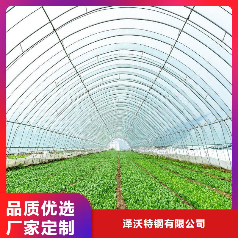 广东省深圳市梅林街道连体热镀锌管种植基地