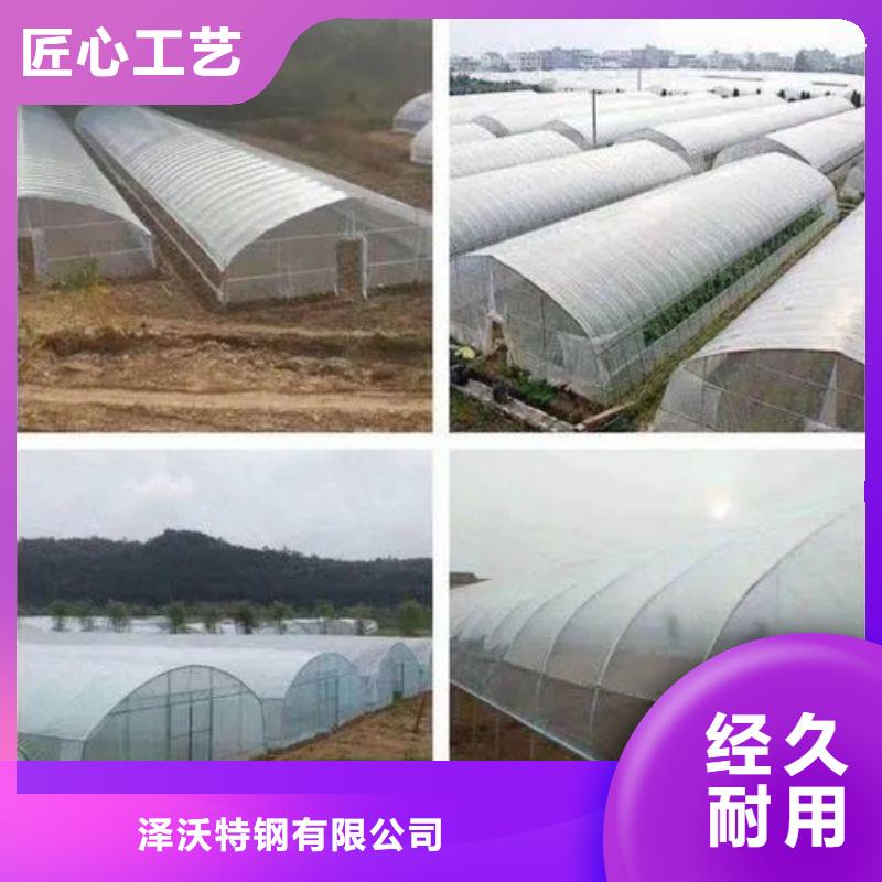 尼玛连栋大棚种植生产厂家2024