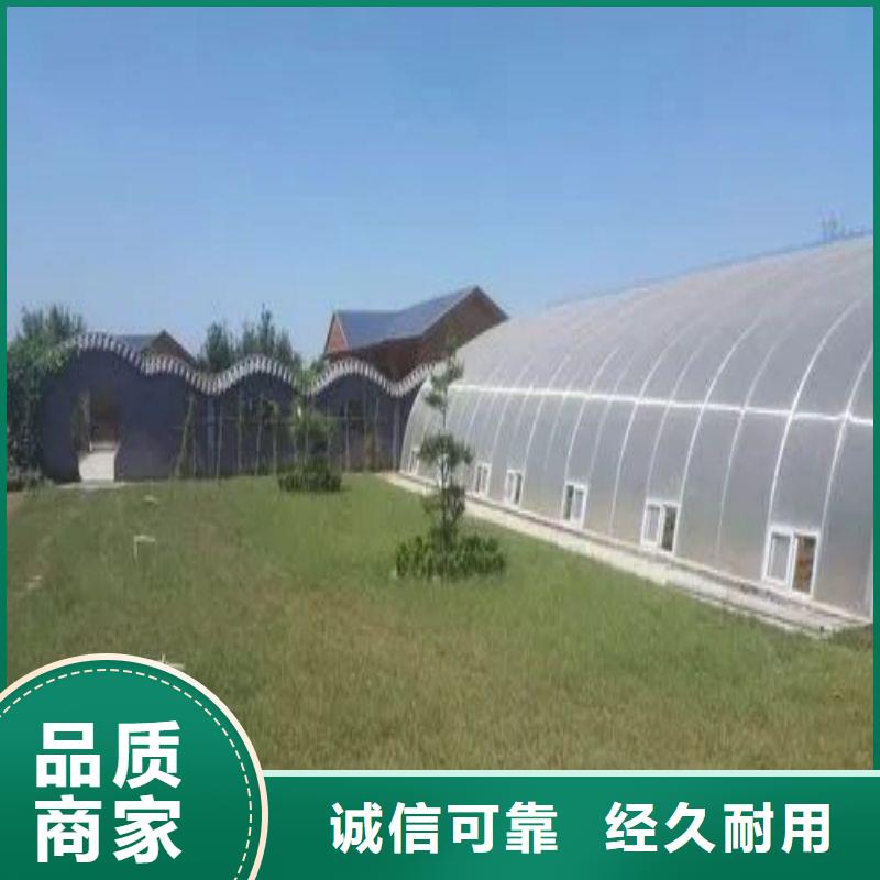 兰西县秋季冬季大棚种植基地