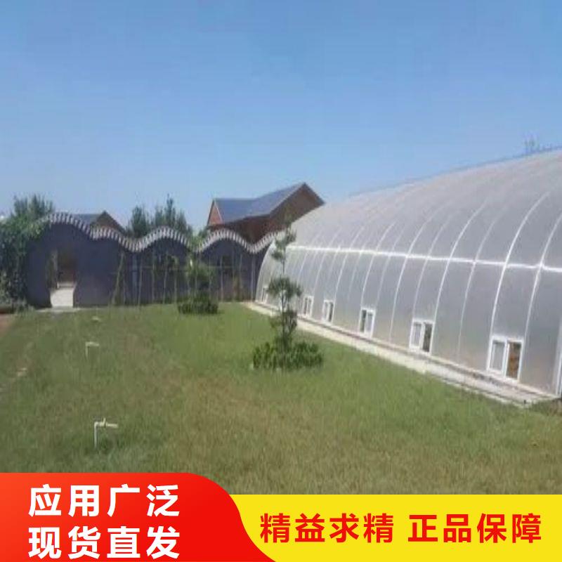 昌江区喷淋系统种植基地