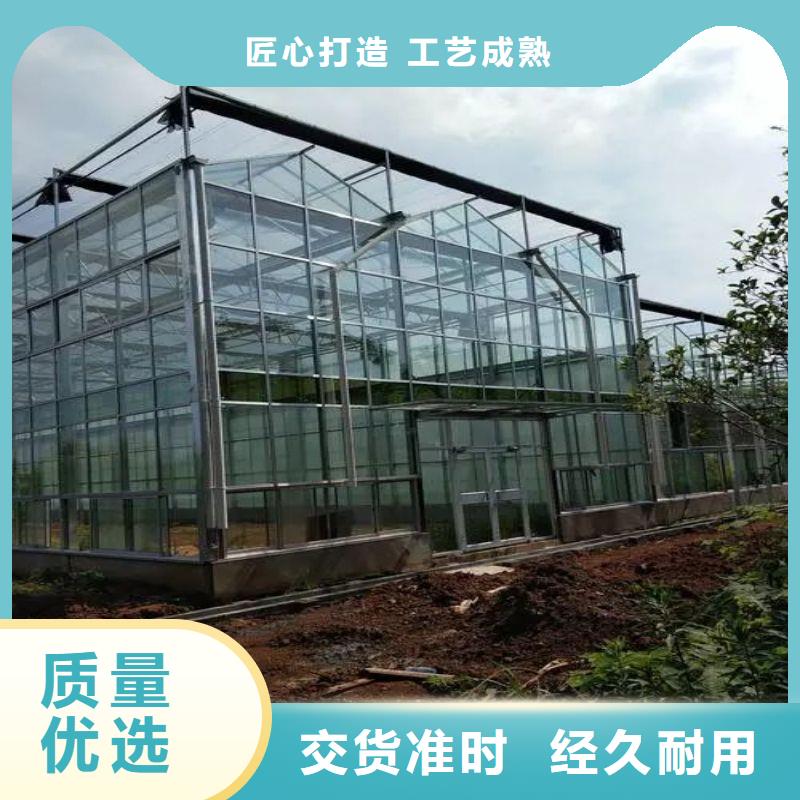 南岸区纹络型玻璃温室种植基地