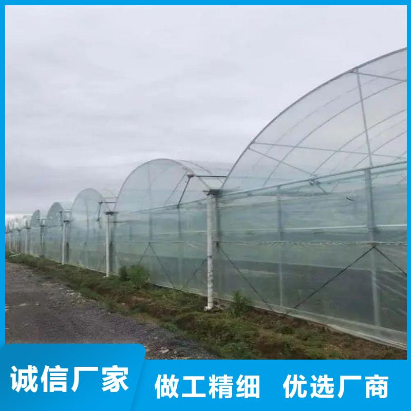 龙江连栋大棚种植推荐厂家2024