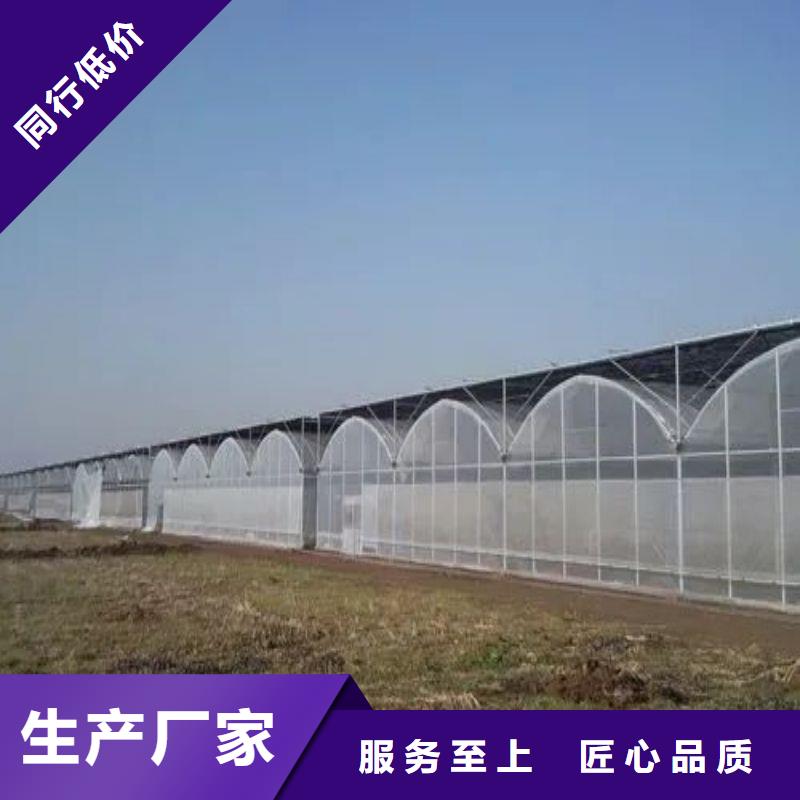 娄星区镀锌钢管dn100种植基地