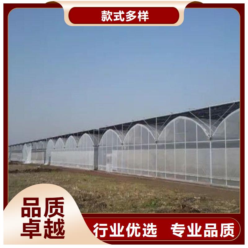 乐清市滴灌带种植基地