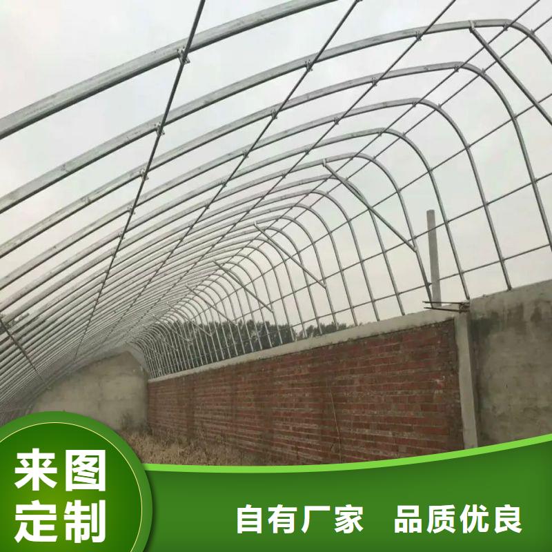 云霄连体大棚施工团队